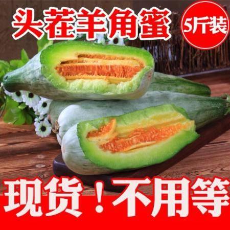 孕妇可以吃脆瓜,脆瓜的营养与食用指南