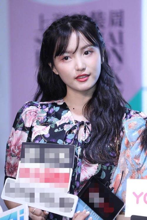 明星天林,璀璨星河中的璀璨星辰