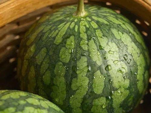 玲儿吃瓜,揭秘娱乐圈那些不为人知的幕后故事