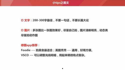 头条号三农文章标题,探索乡村振兴新路径——深度解析三农文章标题