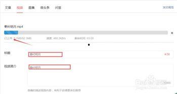 在头条怎么上传小视频,轻松制作与分享精彩瞬间