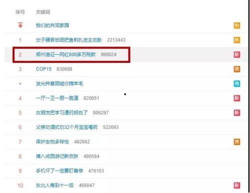 网红直播纳税必要条件,网红直播纳税必备条件解析