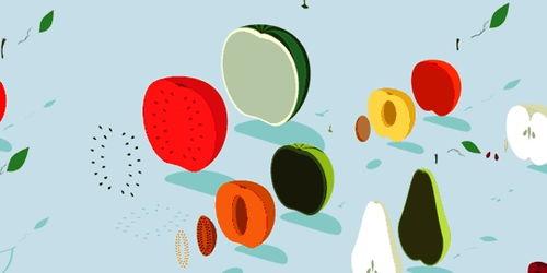 理性吃瓜减肥必备,轻松实现健康瘦身之道