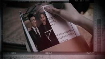 寻在线观看,一场跨越时空的奇幻之旅