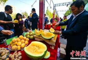 深圳最新吃瓜事件新闻,揭秘网络热议背后的真相