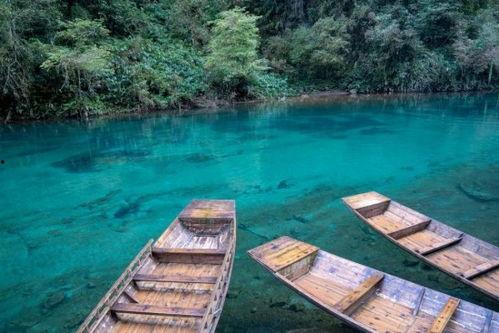 恩施网红张,从田间地头到网络红人的蜕变之路