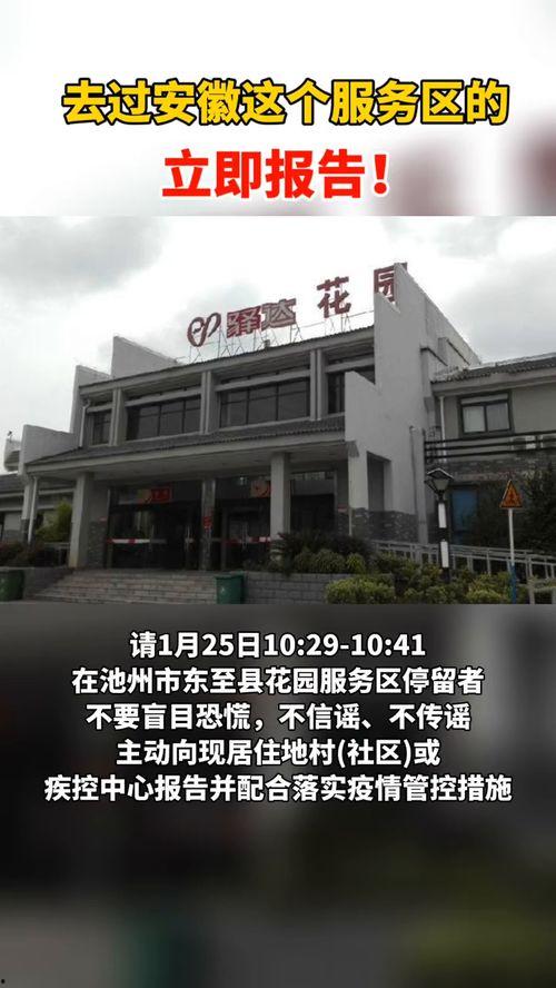 2021涡阳新闻头条,聚焦涡阳发展新篇章，共绘乡村振兴美好蓝图