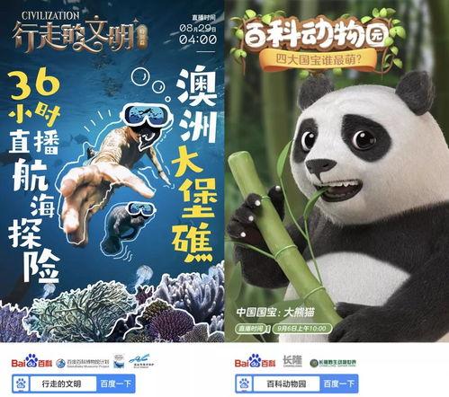 大残狐狸被爆料视频播放,真相与争议交织