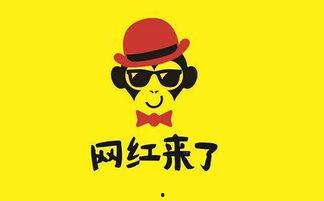 有哪些网红不做了,盘点那些消失在镜头前的网络红人