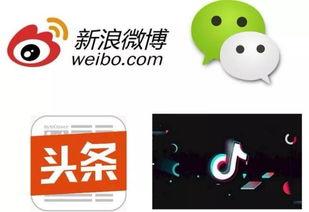 网红属于IP营销吗,揭秘IP营销的新宠儿