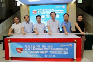 大荔黄龙县新闻头条,聚焦乡村振兴战略下的新进展与成就