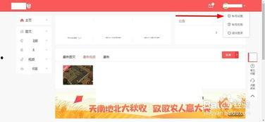 如何查询头条号的名称