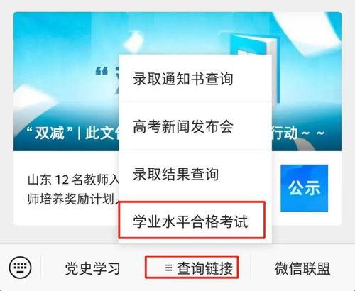 山东教育网最新爆料电话