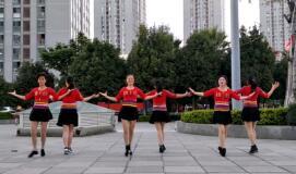 网红跳舞广场舞视频下载,网红广场舞视频下载热潮