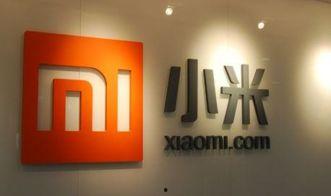 小米投资微头条,共筑新媒体生态新篇章