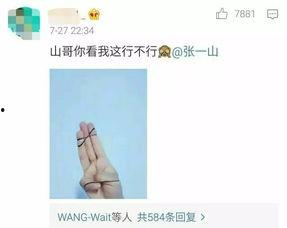 明星教学员手势,解锁魅力动作的秘密