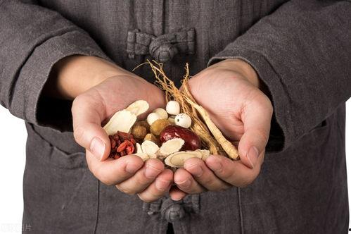 今日头条穿心莲,清热解毒的神奇草本植物