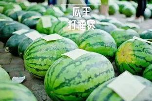 吃瓜比赛每日反差